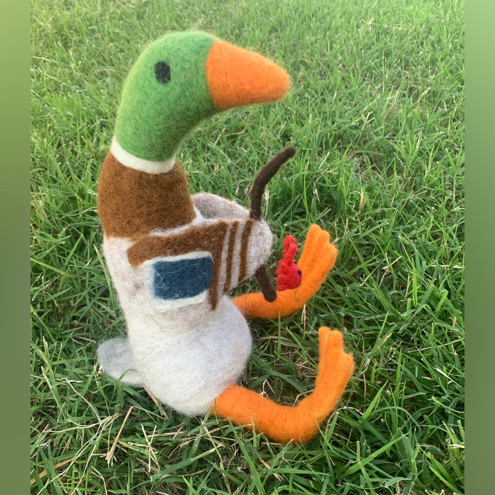 Fishing Duck